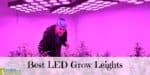 Best LED Grow Lights - Guide For Shoppers