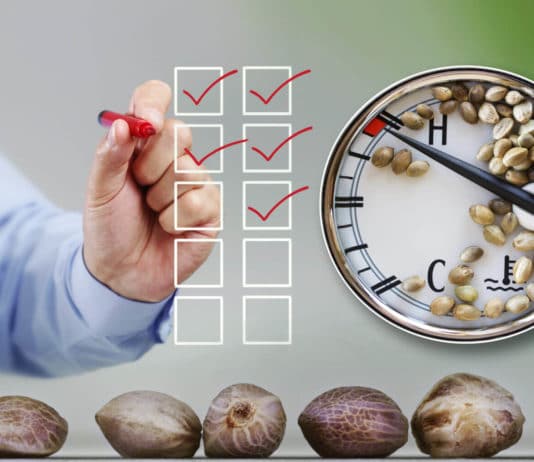 how to store cannabis seeds