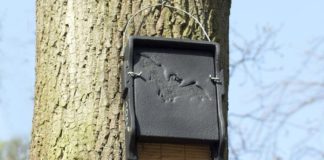 the best bat house